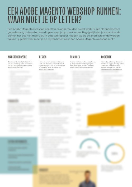 Gratis Whitepaper Een webshop runnen